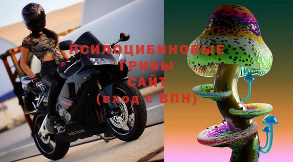 дживик Алексин